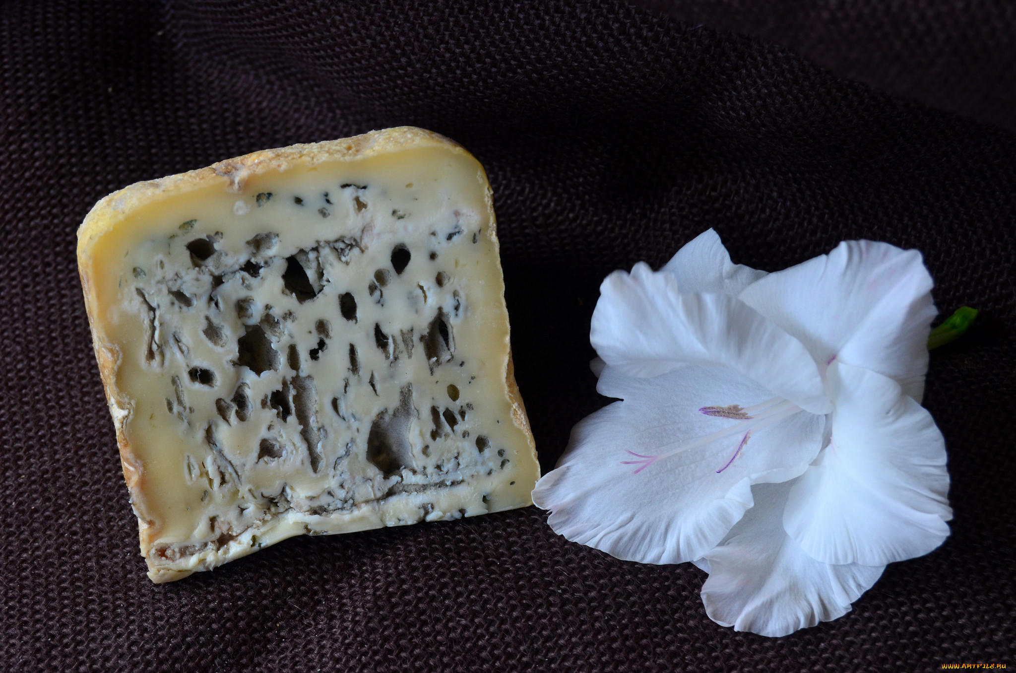 blau de b&, 250, fala montbru, ,  , 